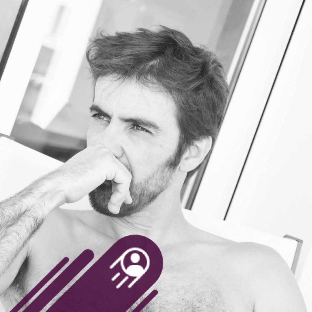 Profil de Harlem
