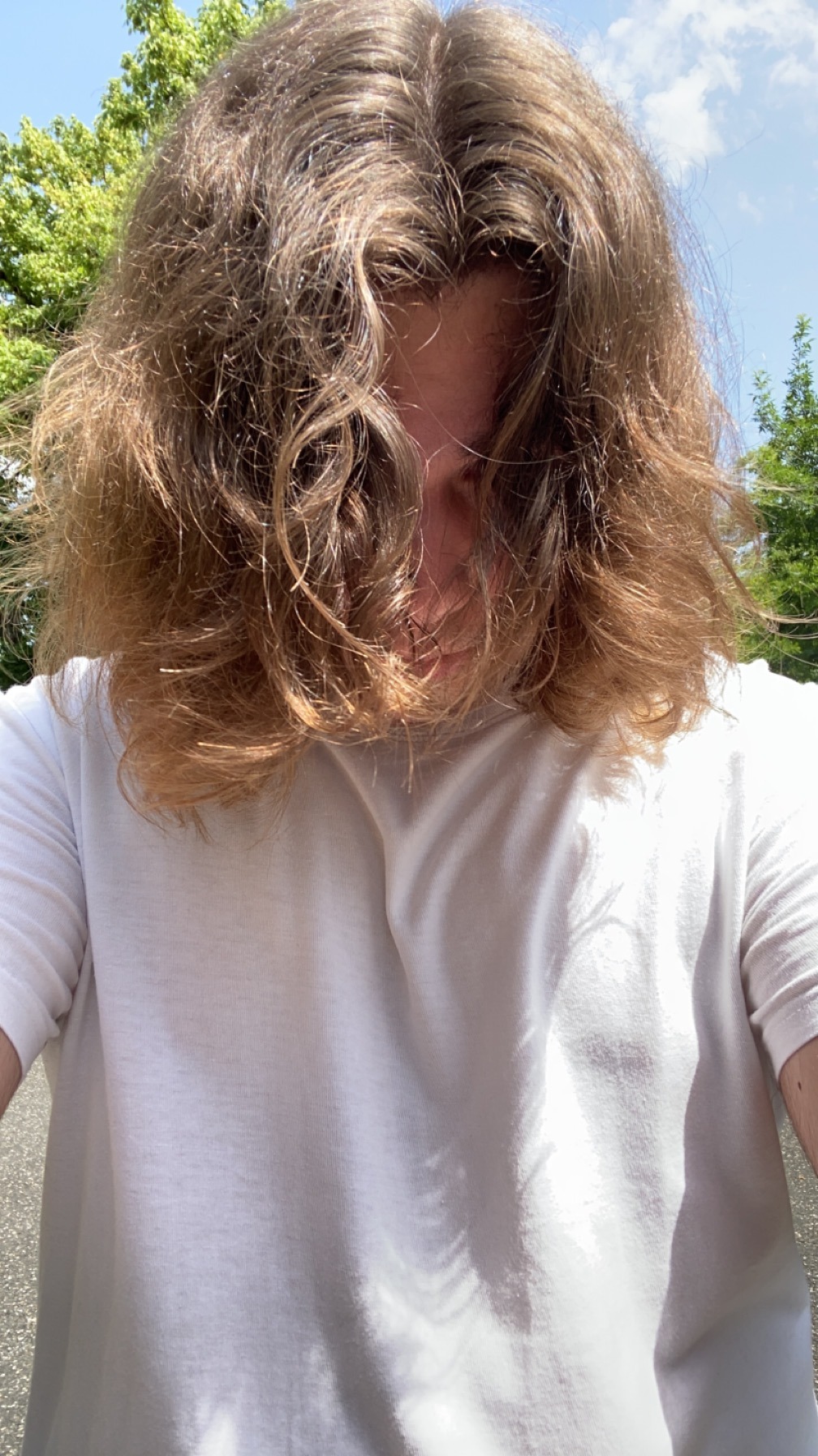 Profil de Jacim