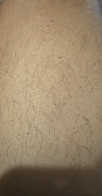 Profil de Nadjib