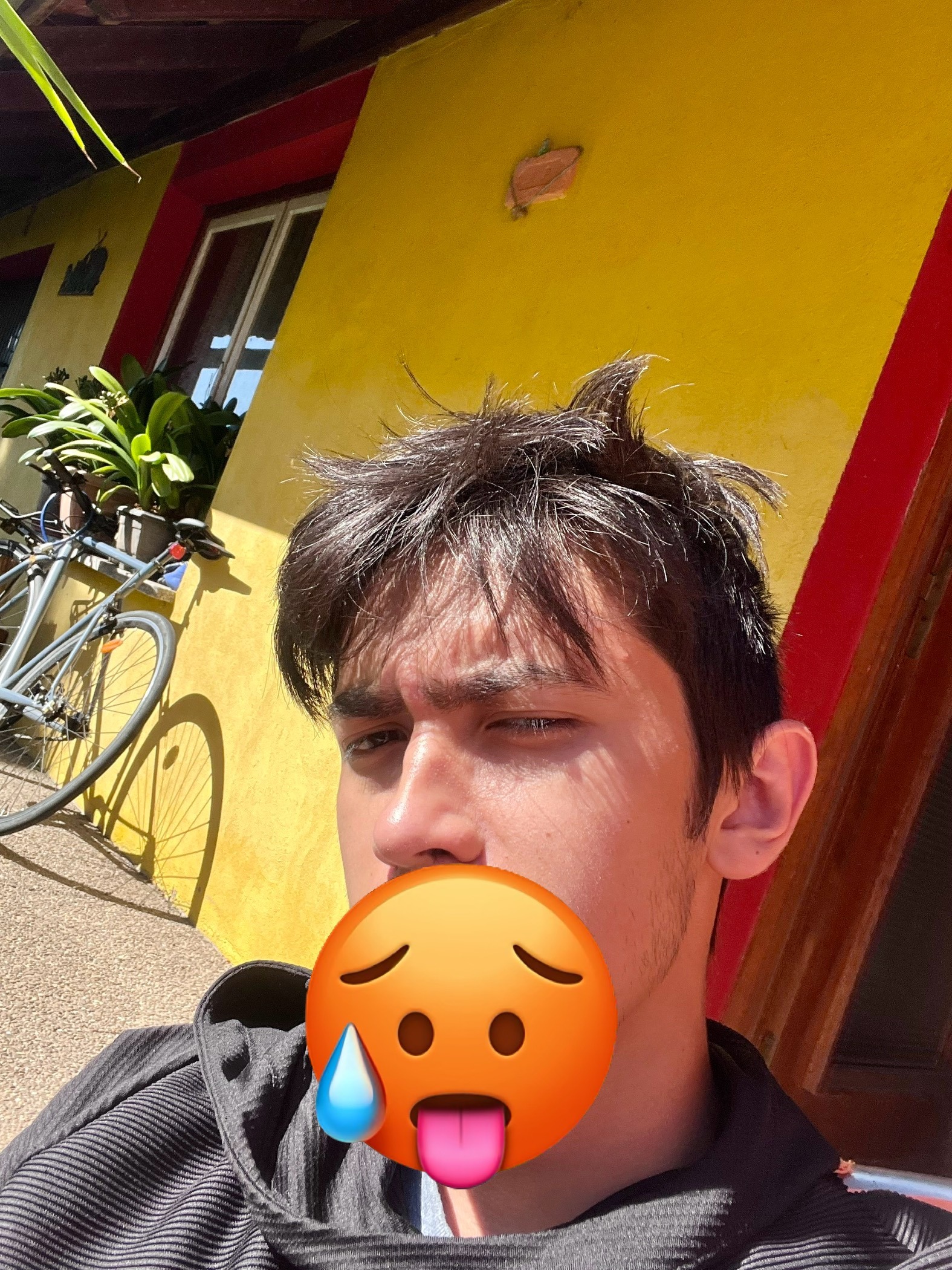 Profil de Maceo